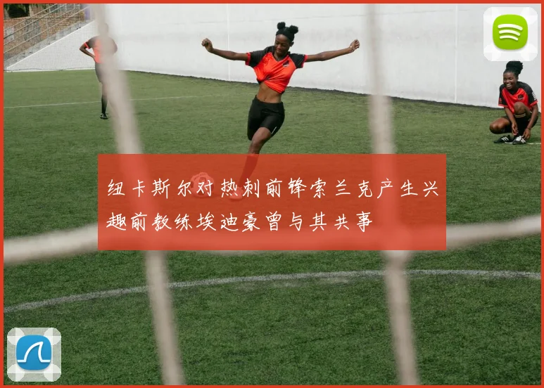 纽卡斯尔对热刺前锋索兰克产生兴趣前教练埃迪豪曾与其共事
