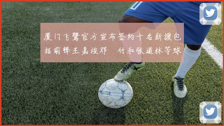 厦门飞鹭官方宣布签约十名新援包括前锋王嘉竣邓棽竹和张道林等球员