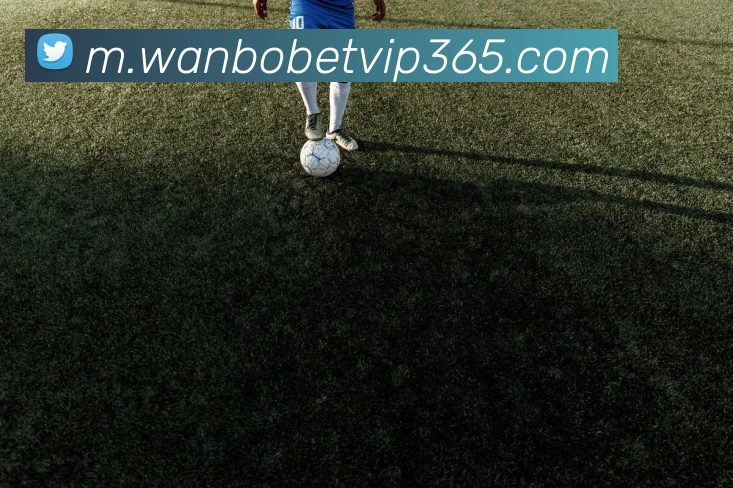 万博体育平台生态图